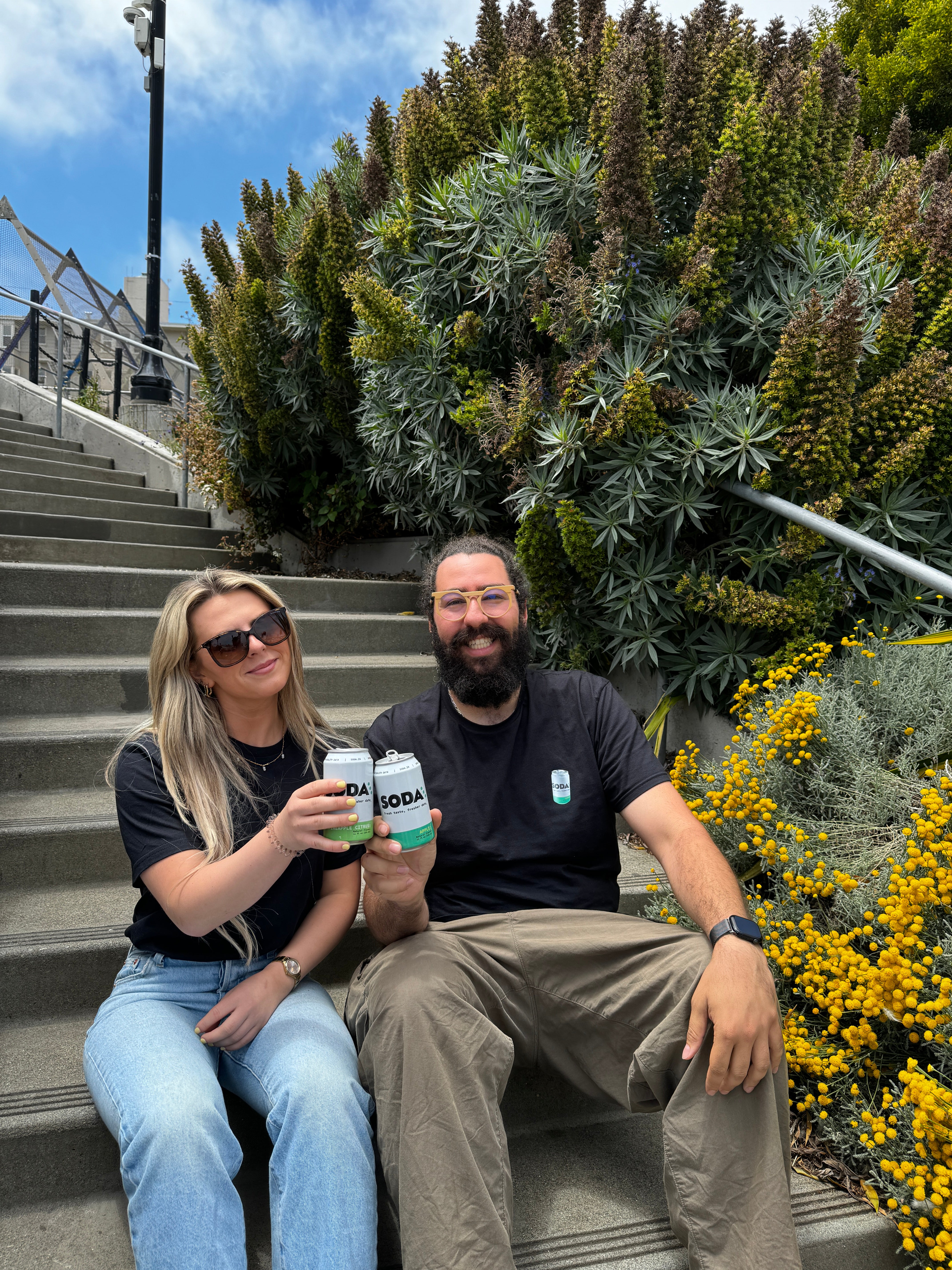 Soda Soda Apple - 12 pack Soda Soda Apple - 12 pack